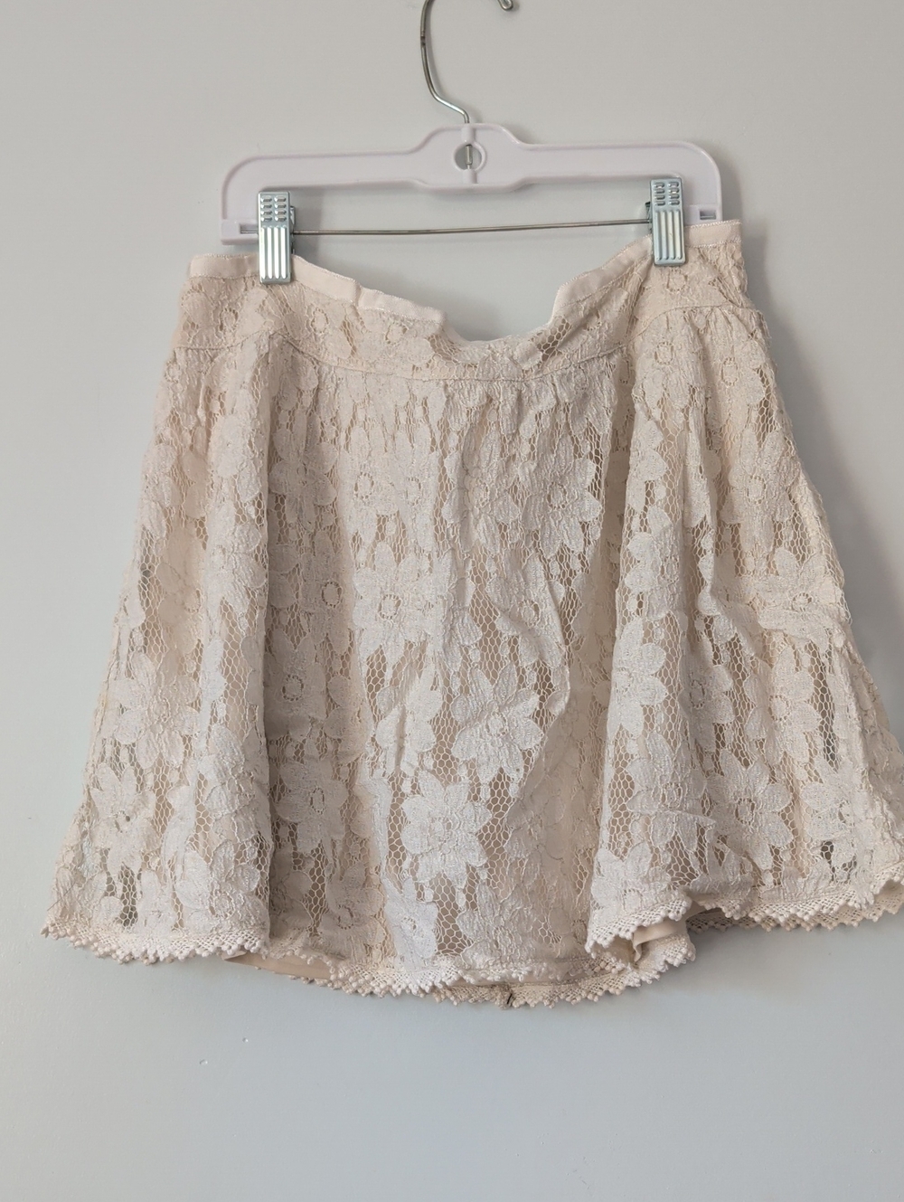 American Eagle Outfitters Floral Lace Skater Skirt — Beige